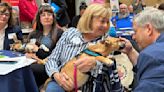 Lobby push aims to propel doggie day care standards