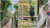 南投鳳凰谷鳥園生態園區，銅板價暢遊溜滑梯、鳥園，還有森林步道、吊橋等，適合全家一起玩！