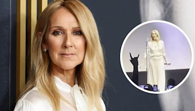 Céline Dion rompió en llanto en la presentación de su documental