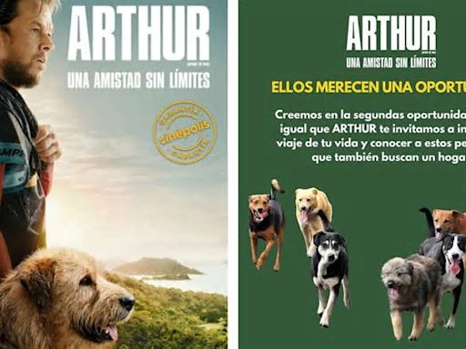 Arthur Day: actividades para tu perrito y adopciones; ve fecha, horario y dónde