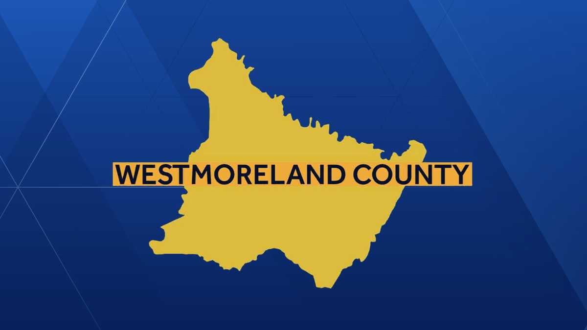 Bee sting causes driver to crash in Westmoreland County