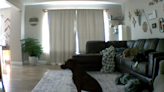 Pet cam captures dog hilariously taking song lyrics a little too literally