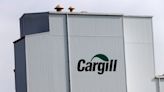 Uralchem wants to buy grain assets from Viterra, Cargill if they ever leave Russia -letter