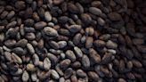 Cocoa Rises as Near-Term Tightness Overshadows Next Crop Surplus