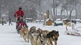 Man Found Negligent in Sled Dog Accident