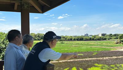 桃市農業局打造4公頃彩繪稻田 邀您10月走訪大園溪海休區