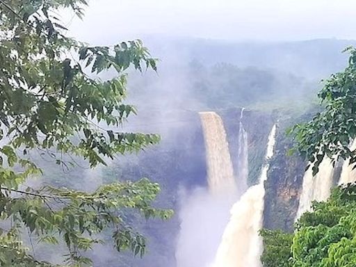 Jog Falls gains vigour following heavy rains and release of water from Linganmakki dam