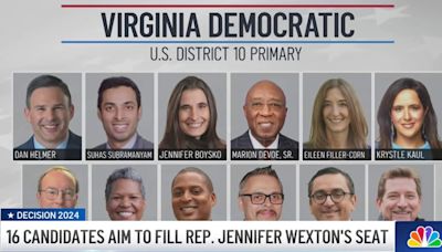 16 candidates competing for Virginia's 10th district seat to replace Wexton