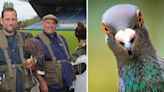 Football club brings in birds of prey to stop pigeons pooing on fans' seats