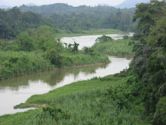 Perak River