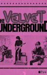 The Velvet Underground (film)