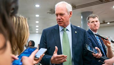 Ron Johnson claims failed border bill was ‘political ploy’ for Schumer