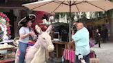 LA City Council approves plan to save beloved 'El Burro' stand at Olvera Street