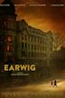 Earwig