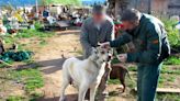 Investigado un hombre de 54 años por un delito de abandono de animales domésticos en Albelda de Iregua