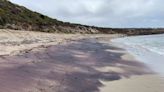 Pourquoi le sable des plages australiennes est rose ?