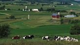 Dairy Cows Moved Across State Lines Must Now Be Tested for Bird Flu