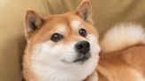 Is Shiba Inu a Millionaire Maker? | The Motley Fool