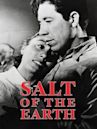 Salt of the Earth (1954 film)