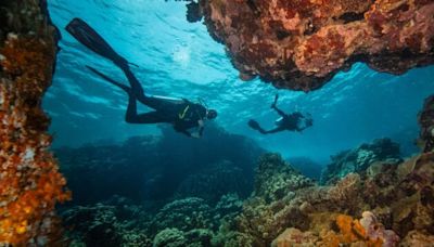 英11歲男孩完成130次水肺潛水 破世界紀錄 | 潛水員 | 潛水嚮導 | 海洋 | 大紀元