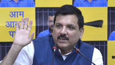 ‘BJP, Lt governor ‘messing’ with Kejriwal’s life’, accuses AAP