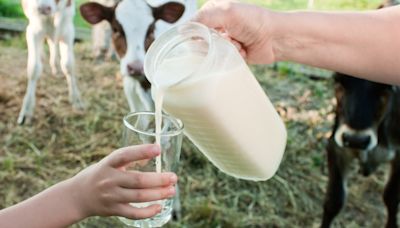 What's So Special About Raw Milk (And Is It Safe)?