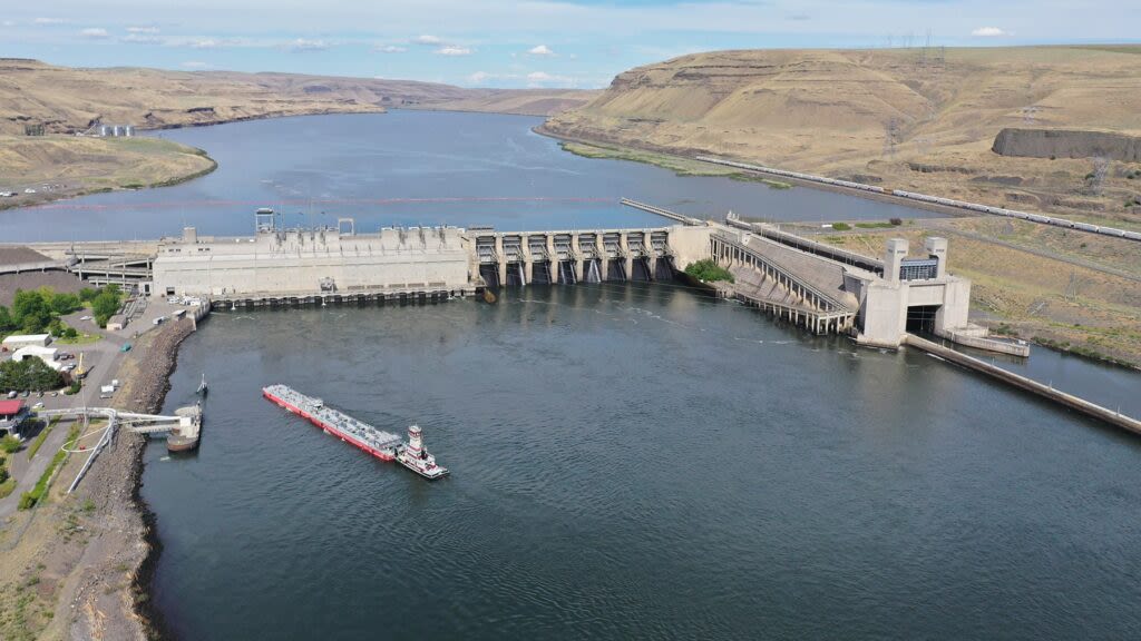 The many consequences of breaching the Snake River dams