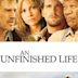 An Unfinished Life