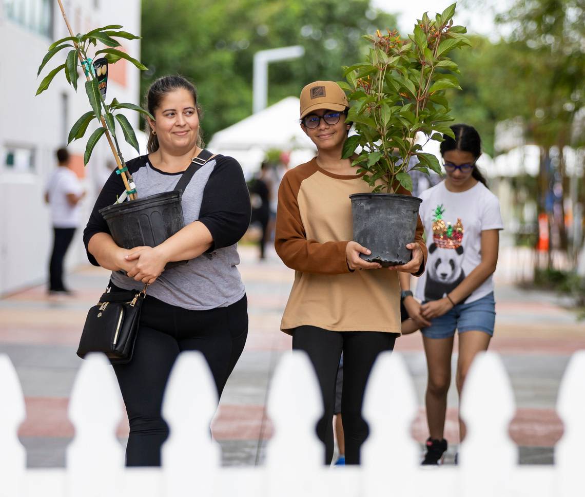 Miami-Dade has a new plan to plant more trees. To get there, it needs ‘all hands on deck’