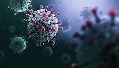 Cold, Flu Virus Can Trigger Long COVID Relapses