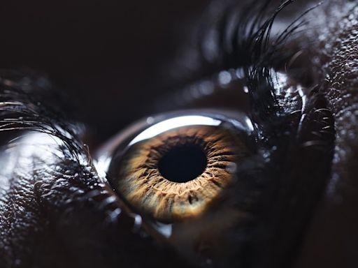 The eyes have it: Something strange happens to pupils when we breathe