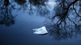 Michigan Bans Banning Plastic Bags Because Plastic Bag Bans Are Bad For Business