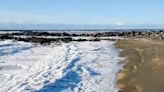 Espetáculo incomum: temperaturas extremas congelam ondas do mar na Terra do Fogo; vídeo