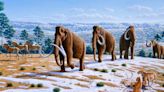 Forensic evidence suggests Paleo-Americans hunted mastodons, mammoths and other megafauna in eastern North America 13,000 years ago