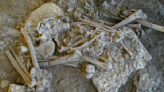 Plague outbreaks might have led to decline of Stone Age people in Scandinavia