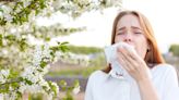 ¿Qué medicamentos son mejores para tratar la alergia primaveral?