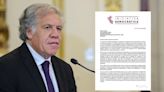 Solicitan a la OEA aplicar la Carta Democrática en Perú ante la “captura de instituciones”