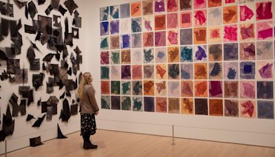 Your guide to free museum days in San Francisco this month