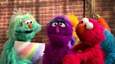 'Sesame Street' Pride Tweet Sends Homophobes Into A Tail Spin