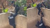 Increíble rescate de perrito atrapado en drenaje de Sinaloa; con pura maña lo sacó la policía