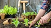 Gardener discovers innovative company that takes the guesswork out of gardening: ‘It’s a win for us all’