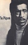 The Pigeon (1969 film)