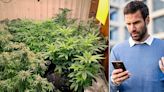 I accidentally bought a cannabis farm house, can I get my money back?