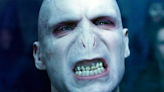 Así se vería Voldemort si las películas siguieran la descripción de los libros de 'Harry Potter'