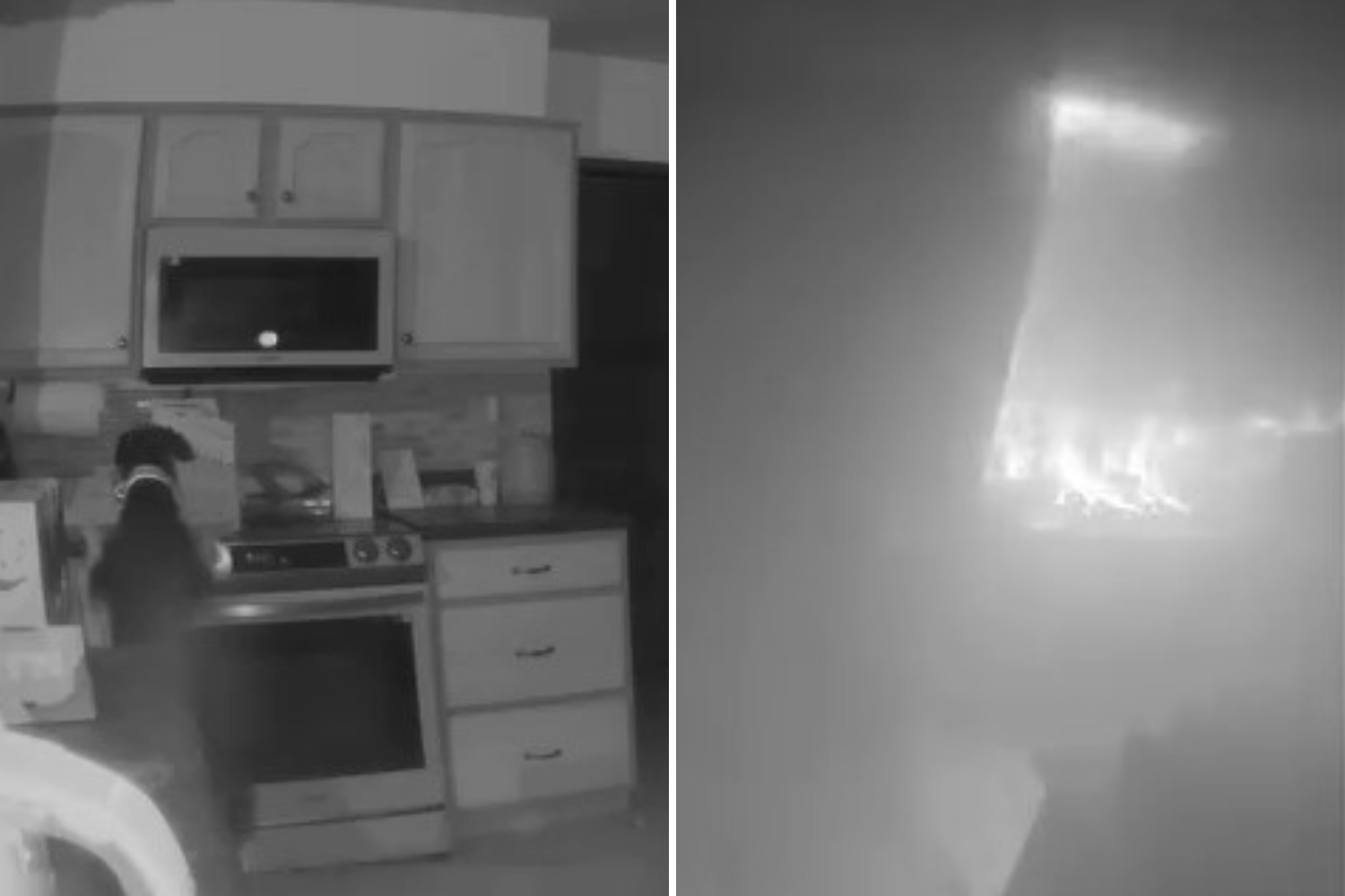 Fire starts in Colorado home—owner looks through footage and finds culprit