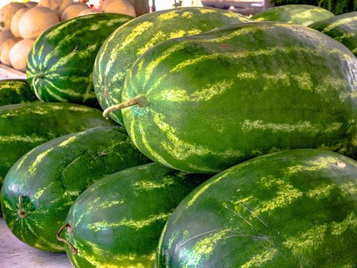 The Only Way To Tell When a Watermelon is Ripe, According to a Farmer