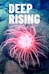 Deep Rising