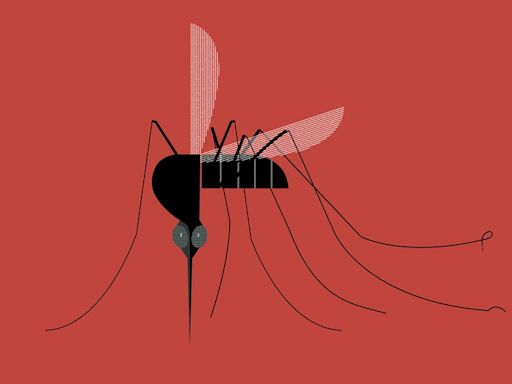 3 Signs It’s Time to Start Worrying About a Mosquito Bite