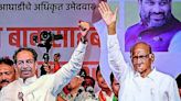 Pawar flays PM for remarks on Nehru-Gandhi family - Times of India