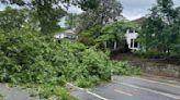 Strong storms down large trees, snap power poles near Atlanta’s Grant Park